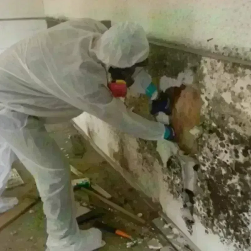 Mold Remediation and Removal in Fort Clark Springs, TX